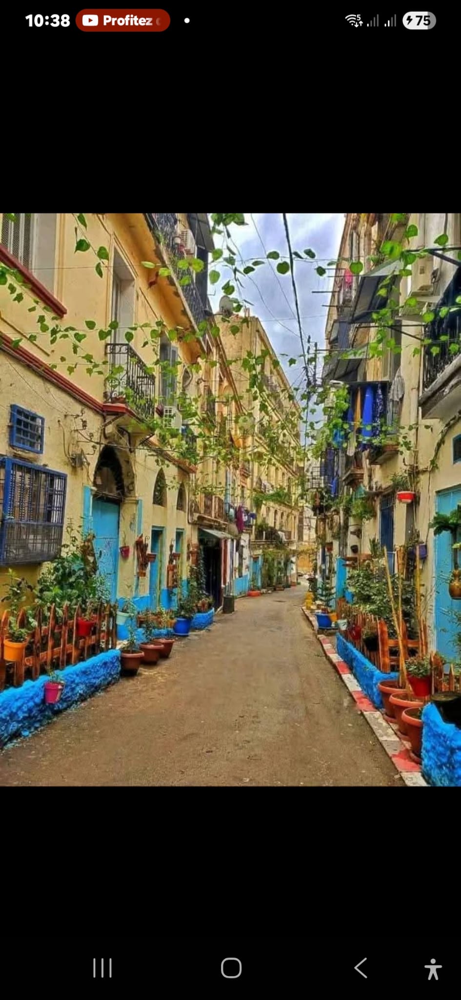 Annaba Bona Hippone